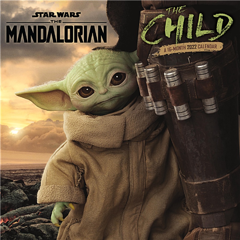 Star Wars The Mandalorian The Child Images 16 Month 2022 Mini Wall Calendar NEW picture