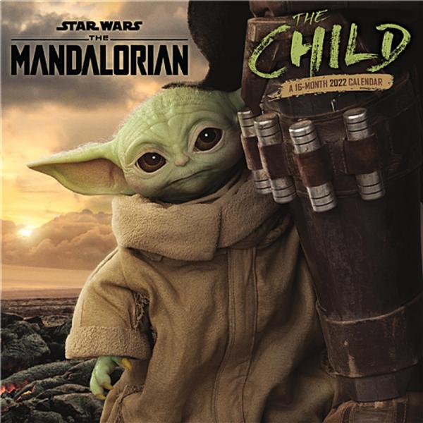 Star Wars The Mandalorian The Child Images 16 Month 2022 Mini Wall Calendar NEW picture