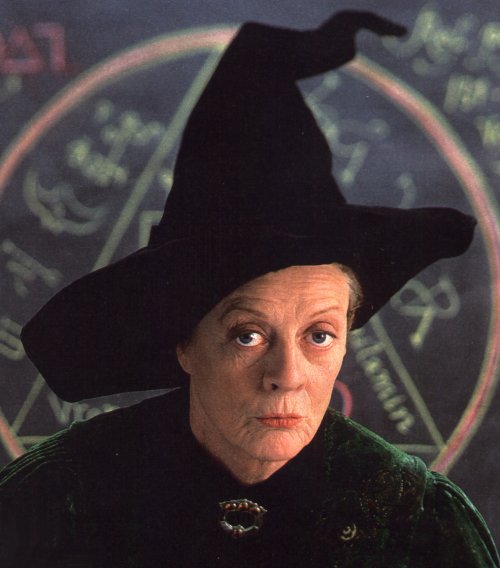 Harry Potter Professor McGonagall Deluxe Wizard Hat with Feather, NEW UNWORN
