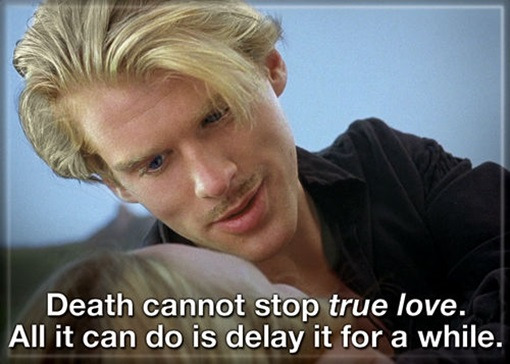 The Princess Bride Westley "Death Cannot Stop True Love" Refrigerator Magnet NEW picture