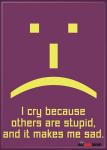 The Big Bang Theory I Cry Because Others Are Stupid Photo Refrigerator Magnet