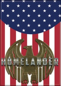 The Boys TV Series Homelander Eagle and Flag Logo Refrigerator Magnet NEW UNUSED picture