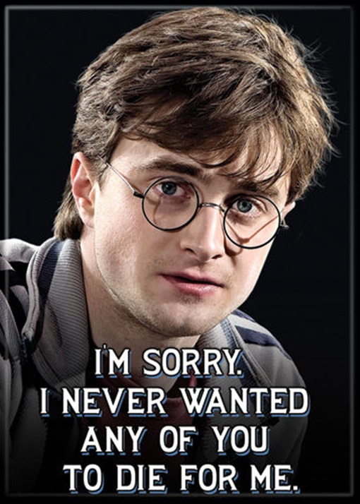 Harry Potter "I Never Wanted You To Die For Me" Photo Refrigerator Magnet, NEW