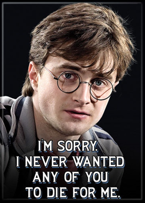 Harry Potter "I Never Wanted You To Die For Me" Photo Refrigerator Magnet, NEW picture