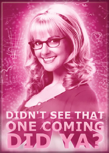 The Big Bang Theory Bernadette Didn't See That One Coming Did Ya? Magnet, UNUSED picture