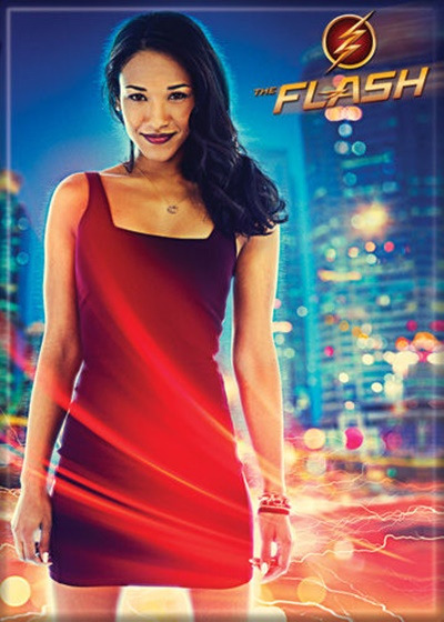 DC Comics The Flash TV Series Logo and Iris Figure Refrigerator Magnet NEW UN