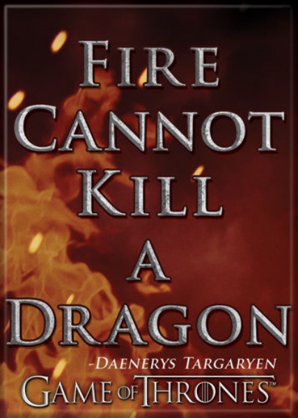 Game of Thrones Fire Cannot Kill A Dragon Quote Refrigerator Magnet NEW UNUSED
