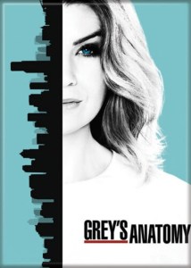Greys Anatomy TV Series Meredith Grey Poster Image Refrigerator Magnet UNUSED