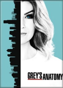 Greys Anatomy TV Series Meredith Grey Poster Image Refrigerator Magnet UNUSED picture