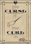 Fantastic Beasts Movie Curse It Cure It Refrigerator Magnet Harry Potter UNUSED