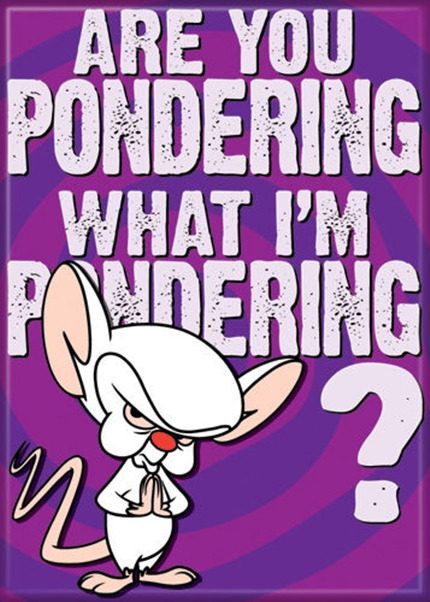 Pinky and the Brain Animated TV Series Are You Pondering Refrigerator Magnet NEW