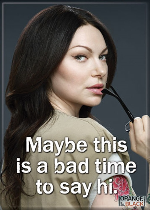 Orange Is The New Black "Maybe This Is A Bad Time" Refrigerator Magnet, NEW picture