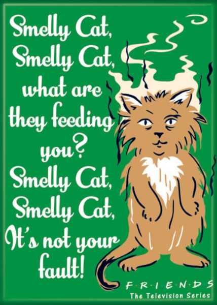 Friends TV Series Smelly Cat Song Lyrics Photo Image Refrigerator Magnet UNUSED