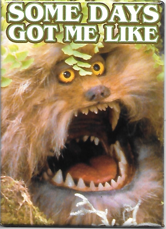 The Dark Crystal Movie Fizzgig Some Days Got Me Like Photo Refrigerator Magnet picture