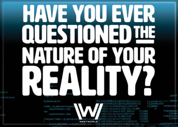 Westworld TV Series Ever Questioned Nature of Reality? Refrigerator Magnet NEW picture