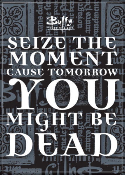 Buffy The Vampire Slayer Seize The Moment Phrase Refrigerator Magnet NEW UNUSED