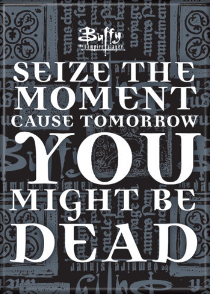 Buffy The Vampire Slayer Seize The Moment Phrase Refrigerator Magnet NEW UNUSED picture