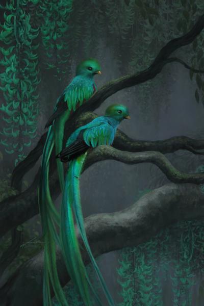 Quetzal & Jade Vine