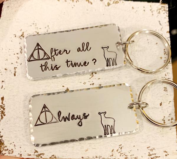 HP key chain set- Always picture