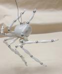 Extra Large Steampunk White Widow Ceramic Drawer Pull Snow Spider