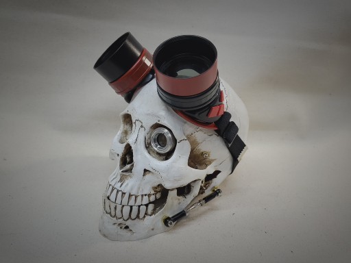 Slightly Distressed Steampunk Goggles Inspired By Harley Quinn picture