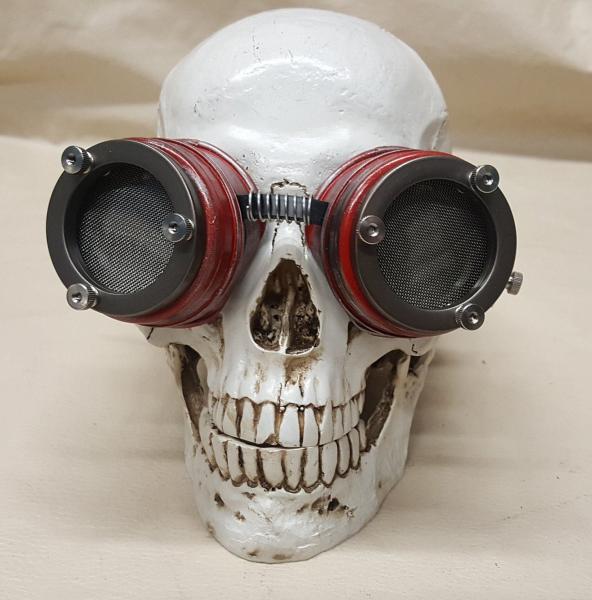 Steampunk Double Winged Red Valkyrie Goggles picture