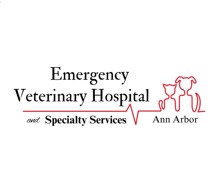 Emergency Veterinary Hospital