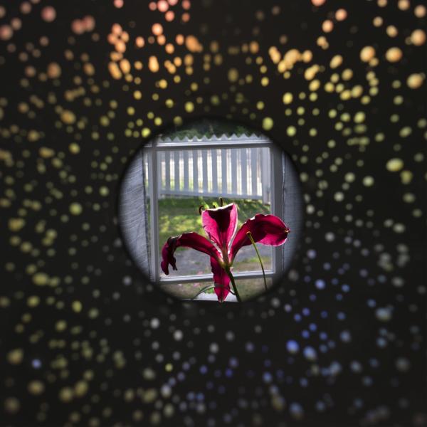 Porthole: Picket Garden, 2020 (framed)