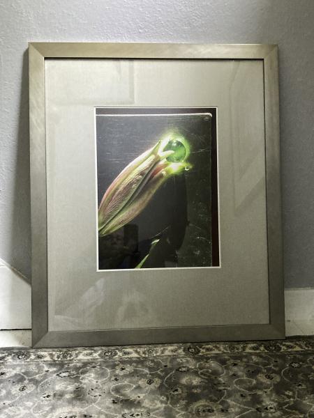 Circles of Sensation: Green Orb, 2015 (framed) picture