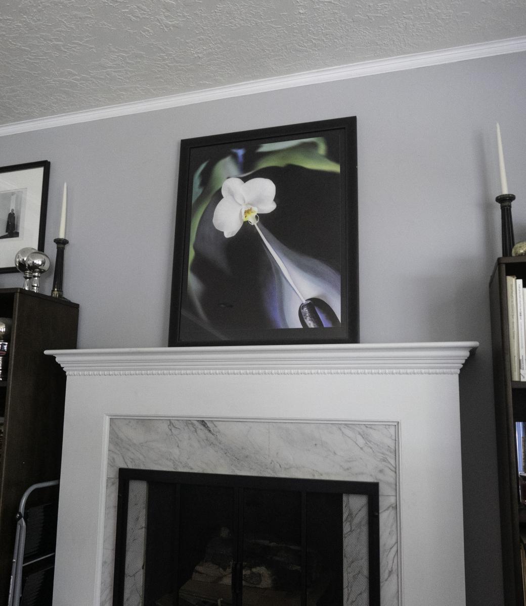 Conversations with Georgia: White Orchid, 2018 (framed) picture