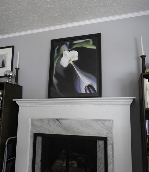 Conversations with Georgia: White Orchid, 2018 (framed) picture