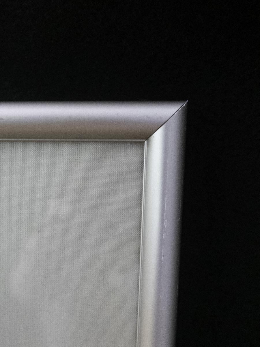 Conversations with Georgia: Stargazer, 2015 (framed) picture