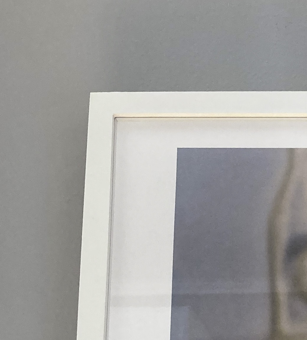 Nose, 2015 (framed) picture