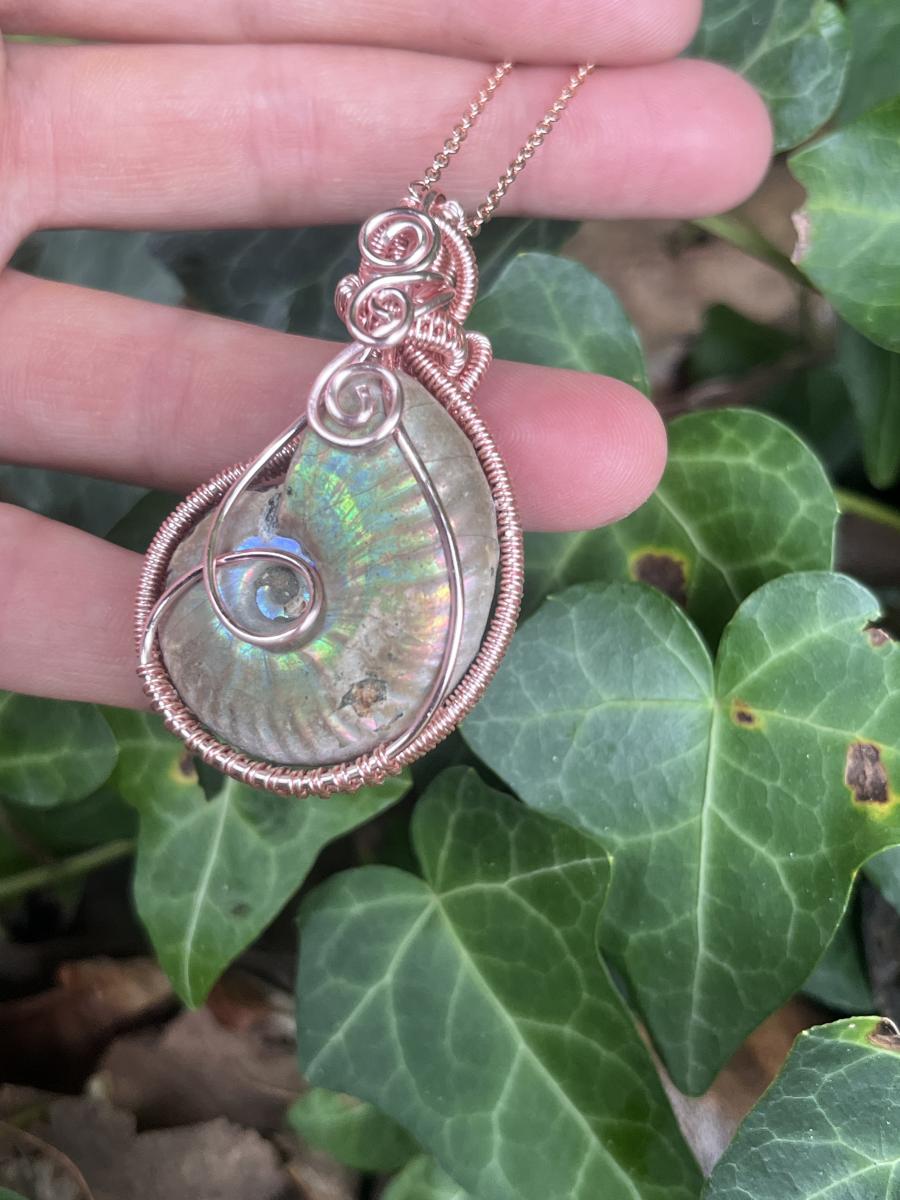 Eternal Current - Rose Gold Plated Wire Wrapped Ammonite Fossil picture