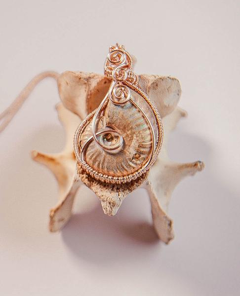 Eternal Current - Rose Gold Plated Wire Wrapped Ammonite Fossil