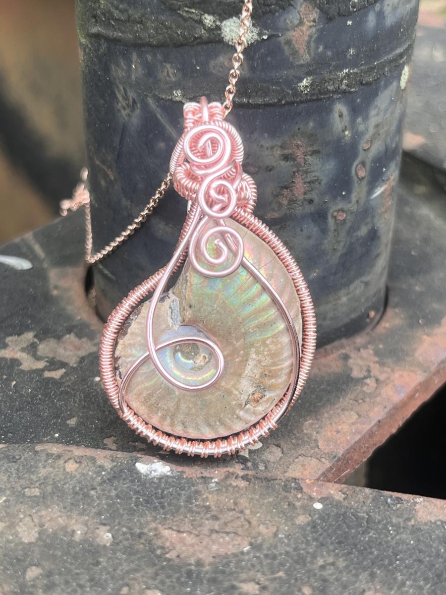 Eternal Current - Rose Gold Plated Wire Wrapped Ammonite Fossil picture