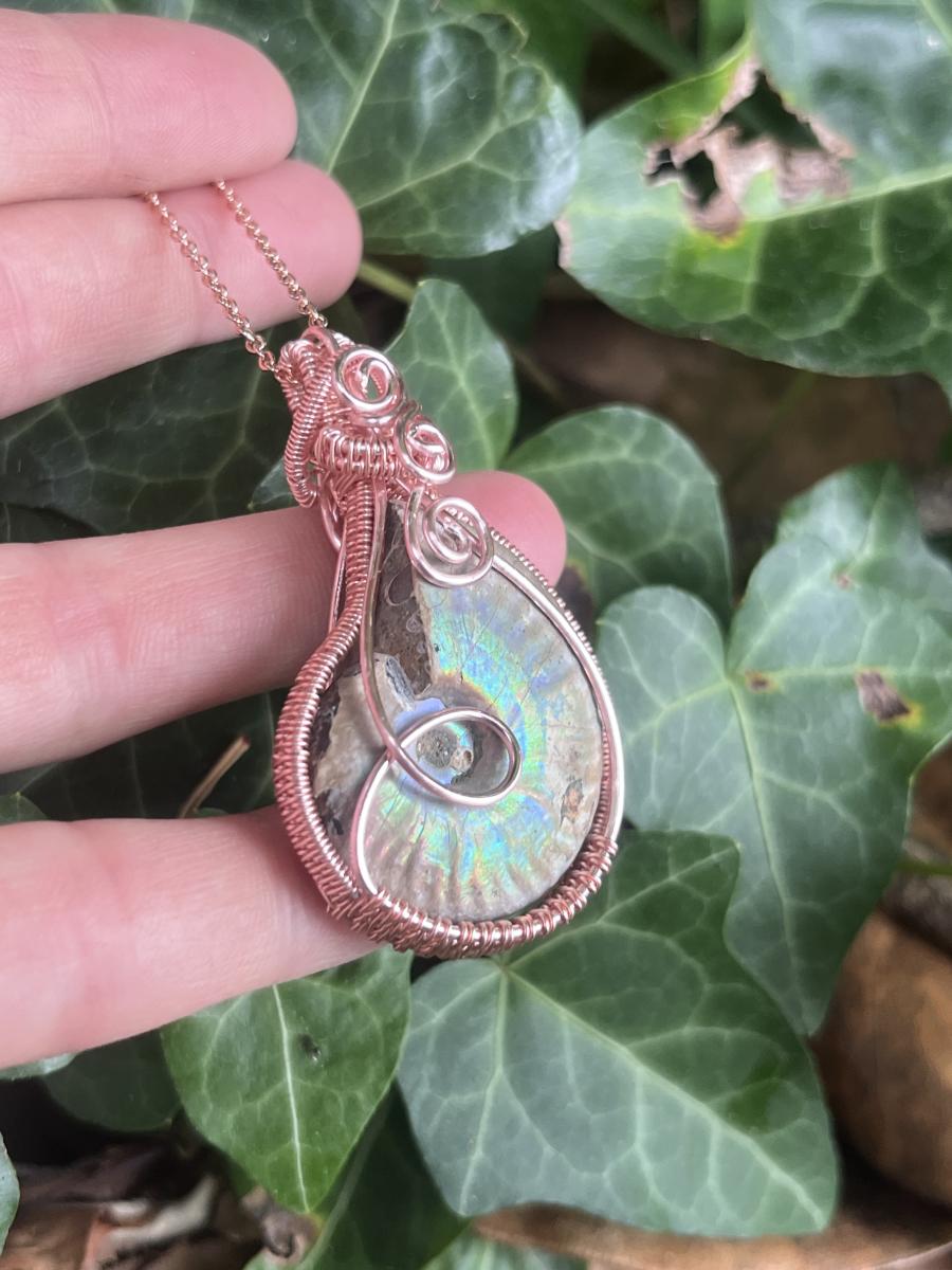 Eternal Current - Rose Gold Plated Wire Wrapped Ammonite Fossil picture