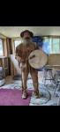 Shamanic drum journeying