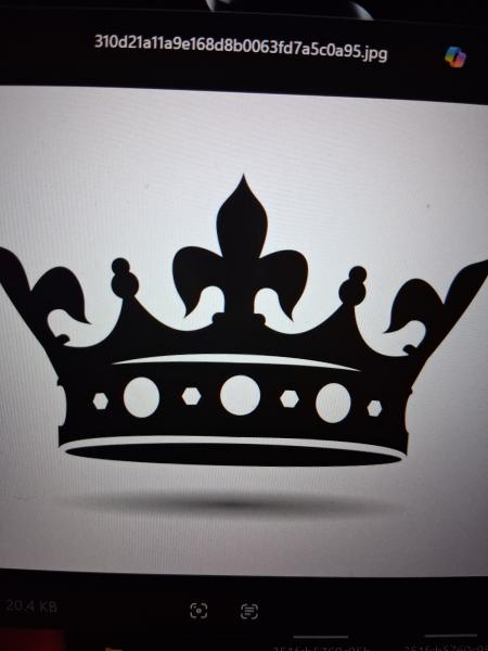 Boss queen LLC