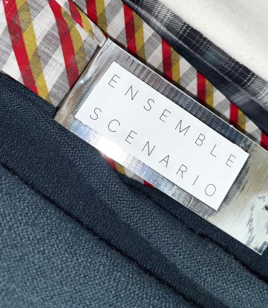 Ensemble Scenario
