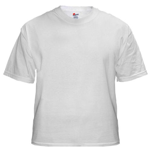 Plain tshirt picture