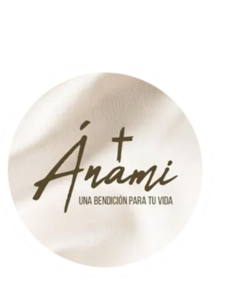 Anami usa llc