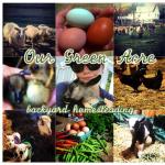 Poolesville Area Small Ag Producers