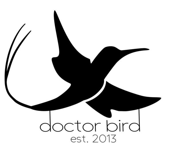 Doctor Bird Saguaro Art