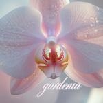 Gardenia