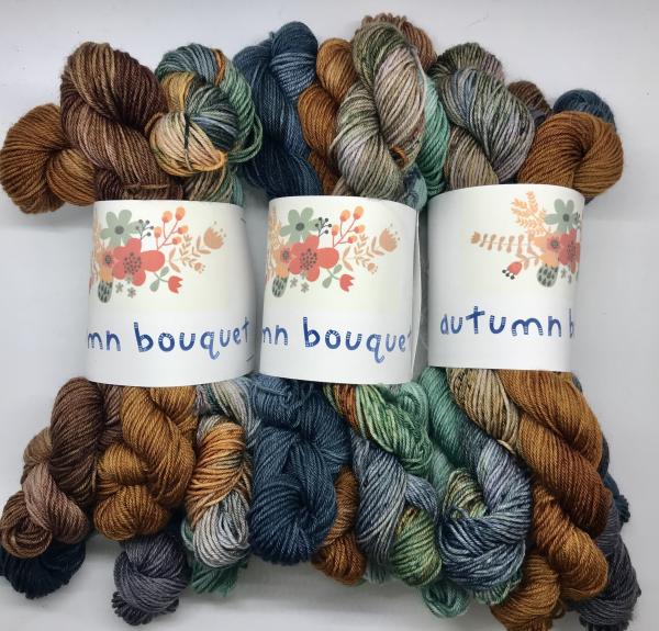 Autumn Yarn Bundle picture