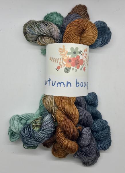 Autumn Yarn Bundle picture