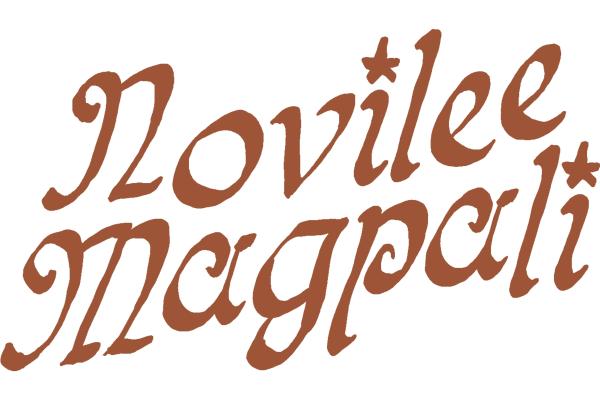 Novilee Magpali Studio