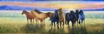 All the Pretty Horses