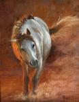 Embers in Mane